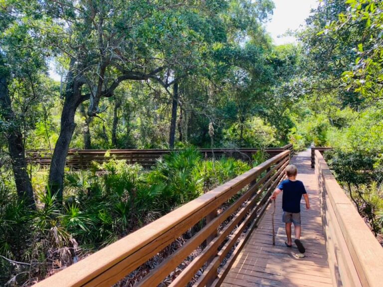 George C. McGough Nature Park Boardwalk