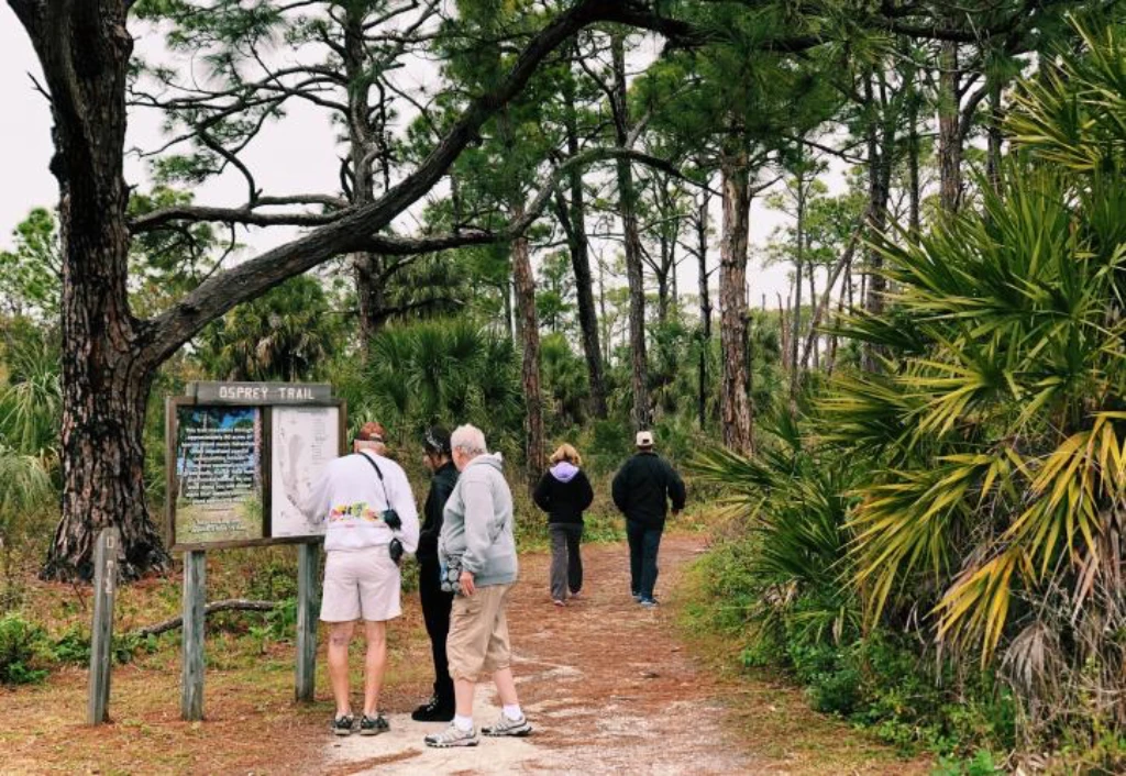 Honeymoon Island Nature Trails
