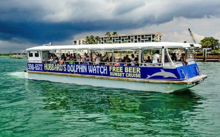 Johns Pass Dolphin Tour
