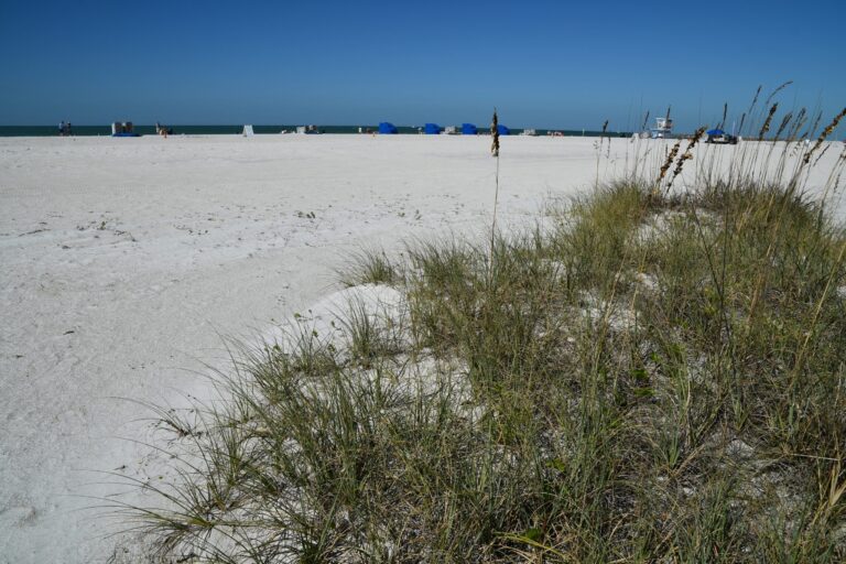 sand key park Florida